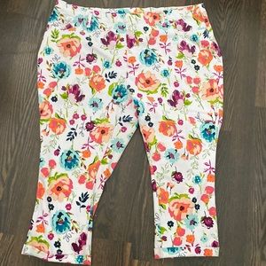 terra & sky Plus Size Capris